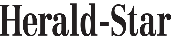 website logo